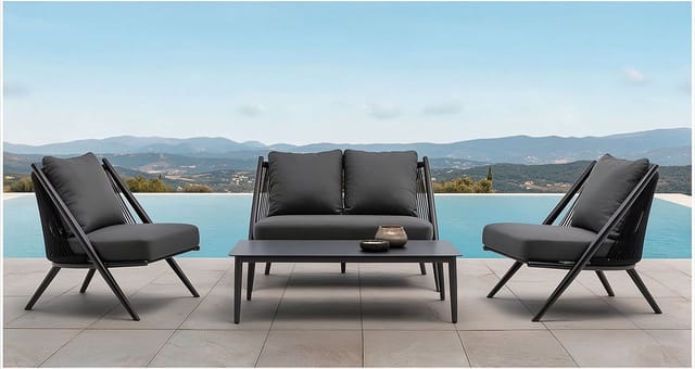 深色沙发单椅组